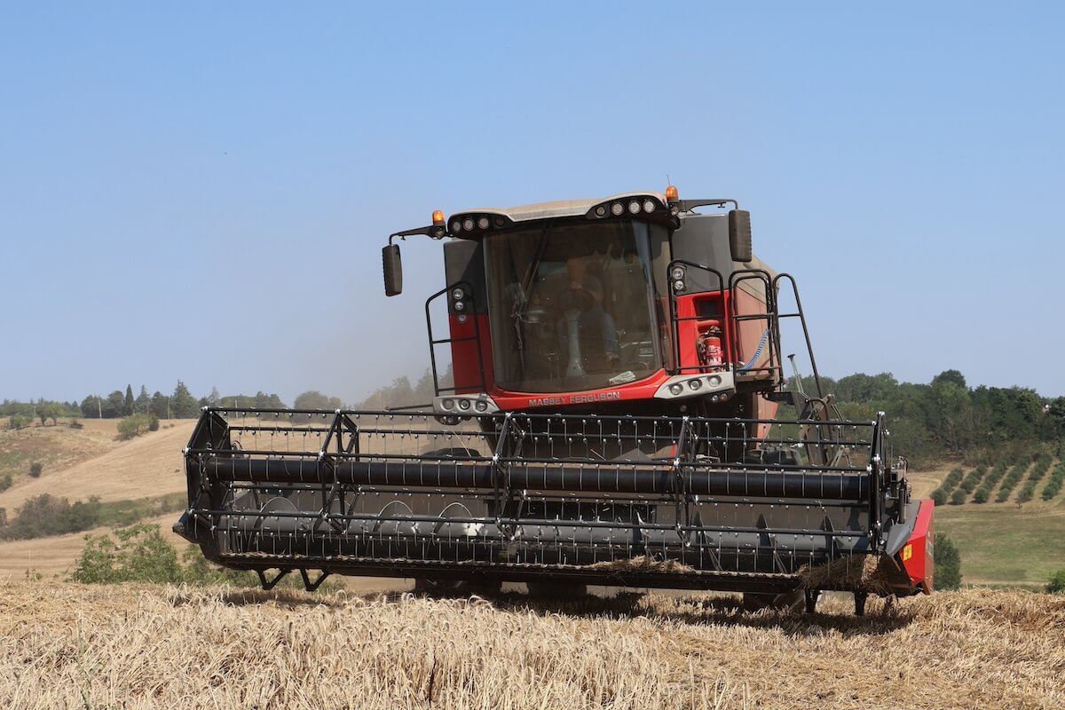 Dettaglio della testata da grano montata sulla modello di MF Beta 7360 AL4 visto in campo